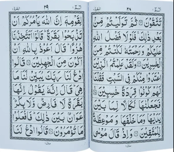 Separah Set | سپارہ سیٹ