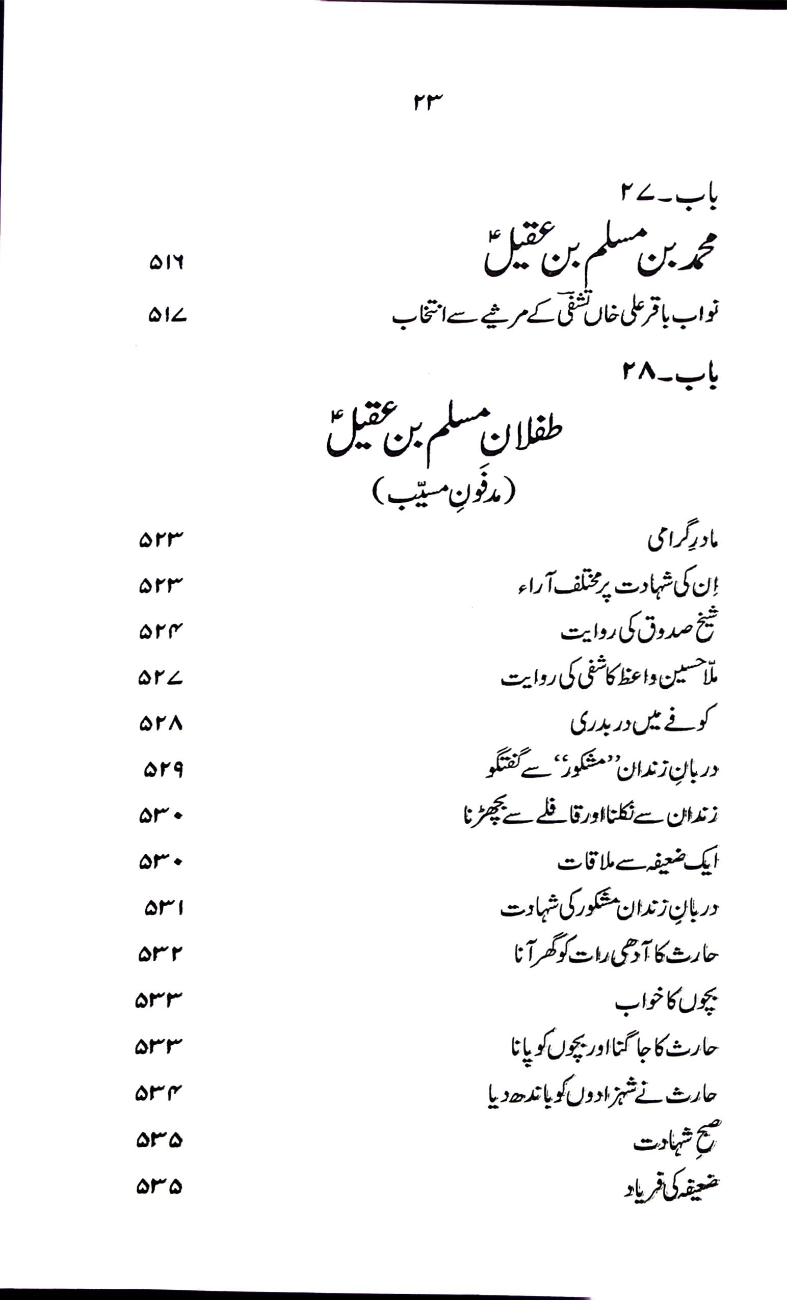 Zindagani e Hazrat Muslim Bin Aqeel A.s | زندگانی حضرت مسلم بن عقیل