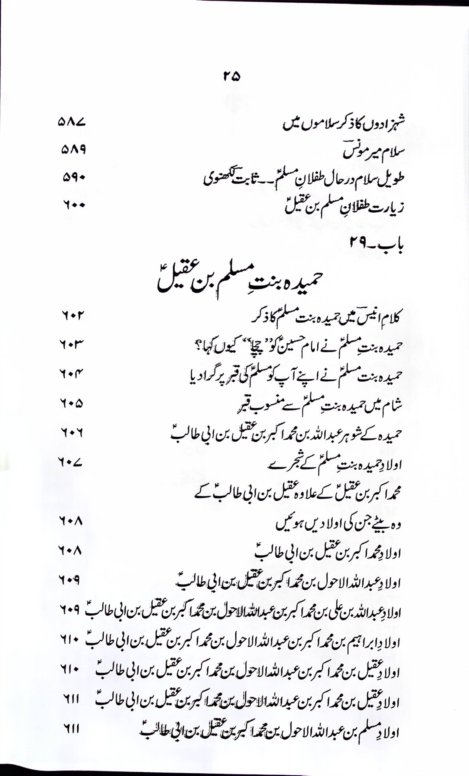 Zindagani e Hazrat Muslim Bin Aqeel A.s | زندگانی حضرت مسلم بن عقیل